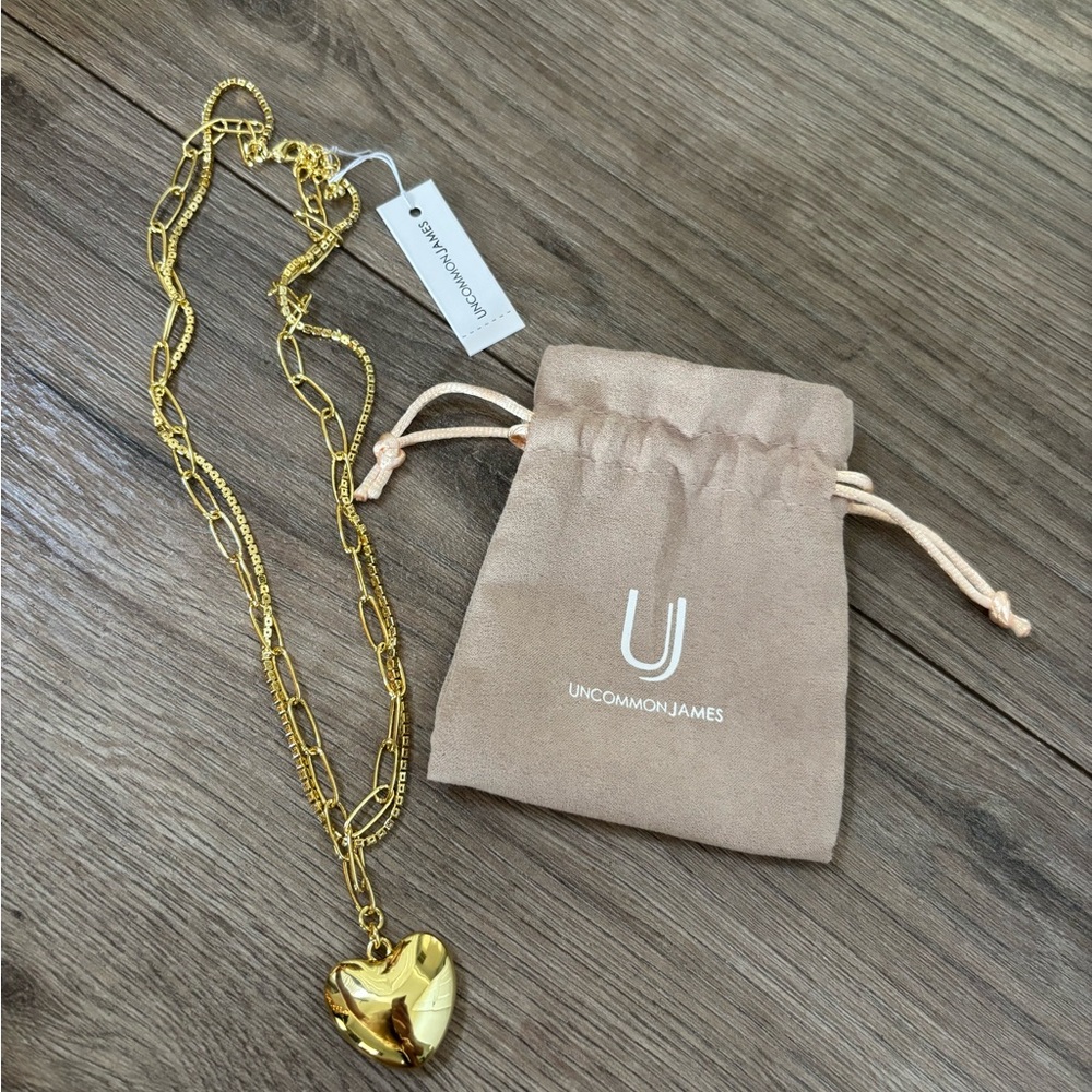 NWT Uncommon Hanes Heart Necklace